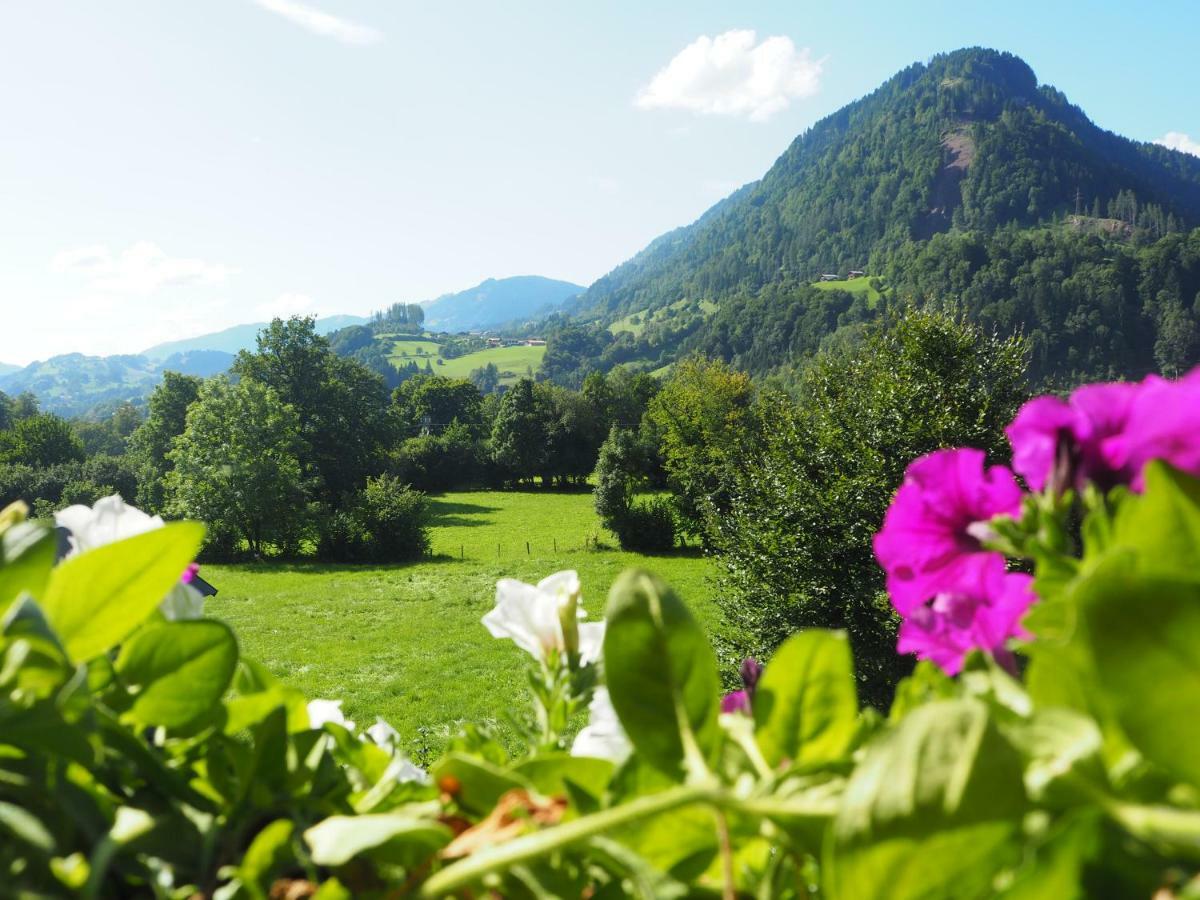 Rohrmoser Appartements Sankt Johann im Pongau Exteriér fotografie